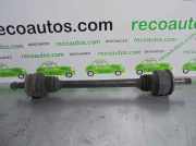 Stoßdämpfer Links Vorne 46407183 Fiat Brava (182B) Schrägheck 5-drs 1.9 JDT 105 (182.B.4000)