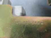 Handgriff Kofferraum 1U6827565H Skoda Octavia (1U2) Liftback 1.9 TDi 110 (AHF)