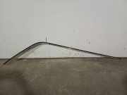 Zierleiste VOOR M110982 Mercedes-Benz /8 (W114) Limousine 280 E (M110.981)