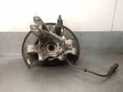 Achsschenkel Halter Links Hinten 95833161100 Porsche (92A) 3.0 Diesel