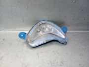 Blinker Rechts Vorne 266007997R Renault ZOE (BFM_) ZOE