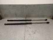 Gasdruckfedern Set Hinten BM51N406A10AD Ford Focus 3 Wagon Kombi 1.0 Ti-VCT EcoBoost 12V 125 (M1DD)