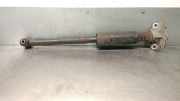 Stoßdämpfer Links Hinten 52063759 Fiat 500L (199) Großraumlimousine 1.4 16V (843.A.1000)