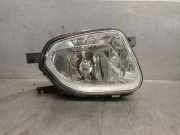 Nebelscheinwerfer Rechts Vorne A2118200656 Mercedes-Benz E (W211) Limousine 2.7 E-270 CDI 20V (OM647.961)