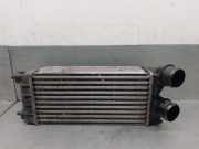 Ladeluftkühler 9684212480 Citroën C4 Berline (NC) Schrägheck 5-drs 1.6 Hdi 90 (DV6DTED(9HP))