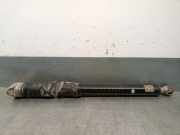 Stoßdämpfer Rechts Hinten L1TC18080DG Ford Puma SUV 1.0 Ti-VCT EcoBoost mHEV 12V (B7JB)