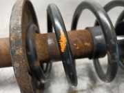 Sto?d?mpfer Rechts Hinten 1H0513031 Seat (1L) 1.9 Diesel CAT (1Y)