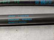 Gasdruckfedern Set Hinten 7129215 BMW 3 serie (E93) Cabrio 320i 16V (N43-B20A)