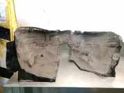 Innenkotflügel Links Vorne 9831258580 Citroën C4 Berline (BA/BB/BC) Schrägheck 5-drs 1.2 PureTech 130 12V (EB2ADTS(HNS))