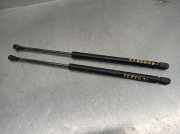 Gasdruckfedern Set Hinten 6895002041 Toyota Corolla (E12) Schrägheck 1.4 D-4D 16V (1NDTV)