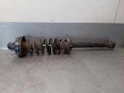 Stoßdämpfer Links Hinten 1133932 Ford Fiesta 3 Schrägheck 1.1 i,Classic (U9) (G6A)