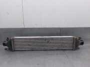 Ladeluftkühler 51783791 Fiat Bravo (198A) Schrägheck 1.9 JTD 16V Multijet 150 (937.A.5000)