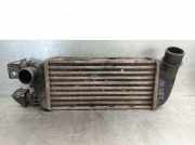Ladeluftkühler 9S519L440AA Fiat 500 (312) Schrägheck 1.3 MJTD 16V (169.A.1000)