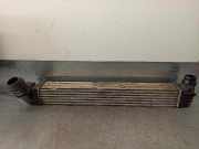 Ladeluftkühler 144960006R Renault Grand Scénic III (JZ) Großraumlimousine 1.5 dCi 105 (K9K-G832)