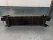 Ladeluftk?hler A1685000000 Mercedes-Benz A (W168) Schr?gheck 1.7 A-170 CDI 16V (OM668.942)