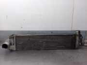 Ladeluftkühler 8200325003 Renault GRAND SCÉNIC II (JM0/1_) 2.0 dCi (JM1K)