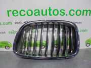 Grill BMW 5 Gran Turismo (F07) 535 d