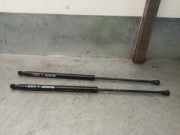 Gasdruckfedern Set Hinten 51248402405 BMW X5 (E53) SUV 3.0 24V (M54-B30(306S3))