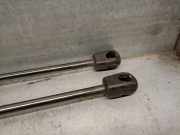 Gasdruckfedern Set Hinten 81A827552B Audi Q2 (GAB/GAG) SUV 1.0 30 TFSI 12V (DKRF)