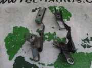 Motorhaubescharnier Citroën CITROËN C5 BERLINA 2.0 HDi