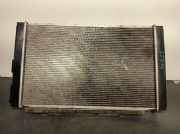 Radiator 51938013 Fiat Doblo Cargo (263) Van 1.3 D Multijet (263.A.2000)