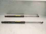 Gasdruckfedern Set Hinten 889500D022 Toyota Yaris II (P9) Schrägheck 1.4 D-4D (1NDTV)