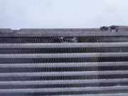 Ladeluftkühler 179400R040 Toyota Verso Großraumlimousine 2.0 16V D-4D-F (1AD-FTV(Euro 4))