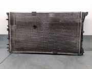 Radiator 8200297816 Renault TRAFIC CAJA CERRADA (AB 4.01) 2.5 dCi Diesel CAT