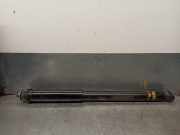 Stoßdämpfer Links Hinten A2033263000 Mercedes-Benz C (W203) Limousine 2.2 C-220 CDI 16V (OM611.962)