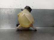 Ausgleichbehälter - - 9800777280 Peugeot 207/207+ (WA/WC/WM) Schrägheck 1.4 16V Vti (EP3(8FS))