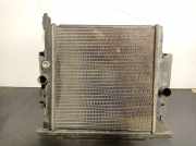 Radiator 9625187080 Peugeot 206 (2A/C/H/J/S) SchrÃ¤gheck 1.1 XN,XR (TU1JP(HFX))
