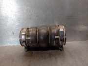 Warnleuchte Schalter 9817043077 Peugeot FURGONETA/MONOVOLUMEN (K9 FURGONETA/MONOVOLUMEN (K9