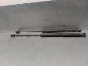 Gasdruckfedern Set Hinten 3AF827550B Volkswagen Passat Variant (365) Kombi 2.0 TDI 16V 140 (CFFB(Euro 5)) CFFB(Euro 5)