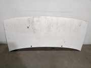 Motorhaube 7901H2 Citro?n CITRO?N JUMPY 1.9 Turbodiesel