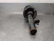 Stoßdämpfer Rechts Vorne AV6118045AAE Ford C-Max (DXA) Großraumlimousine 1.0 Ti-VCT EcoBoost 12V 125 (M1DA(Euro 5))