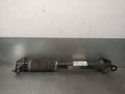 StoÃŸdÃ¤mpfer Links Hinten A1663260900 Mercedes-Benz ML III (166) SUV 2.1 ML-250 CDI 16V BlueTEC 4-Matic (OM651.960)