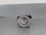 Nebelscheinwerfer Links Vorne 04805856AB Dodge Journey Gro?raumlimousine 2.0 CRD 16V (BWD)