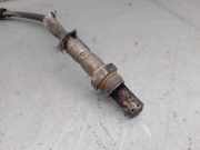 Scheibenwischer Hinten 51736417 Fiat Croma (194) Schrägheck 1.9 D Multijet 16V (939.A.2000)