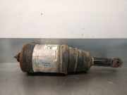 Sto?d?mpfer Links Hinten LR016419 Land + Range Rover Range Rover Sport (LS) Gel?ndewagen 3.0 S TDV6 (306DT)