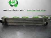 Ladeluftkühler 99000039 Fiat Ducato (250) Van 2.3 D 120 Multijet (F1AE0481D)