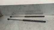 Gasdruckfedern Set Hinten A1689801164 Mercedes-Benz A (W168) Schrägheck 1.7 A-170 CDI 16V (OM668.942)