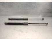 Gasdruckfedern Set Hinten 904514584R Renault (HA_, HL_) 1.3 TCe 140