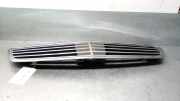 Grill A22088003839040 Mercedes-Benz S (W220) Limousine 4.3 S-430 V8 24V (M113.941)