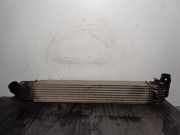 Ladeluftkühler 8200880552B Dacia 1.5 dCi Diesel FAP CAT