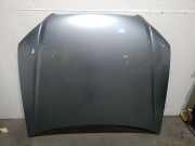 Motorhaube 8E0823029D Audi B7 (8EC) 1.9 TDI