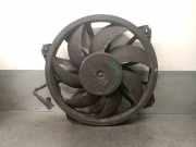 Kühlerventilator 9673009880 Citroën CITROËN 2.0 HDi 165