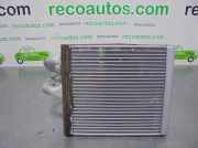 Klima Radiator Ford Fiesta VII Schrägheck 1.6 TDCi 16V 95 (TZJA)