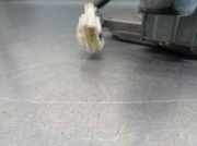 Scheibenwischermotor Hinten 8615021102 SsangYong Rodius Großraumlimousine 2.7 270 Xdi 20V 4x2 (M665.925(Euro 4))