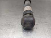 Stoßdämpfer Rechts Hinten 51780319 Fiat Croma (194) Schrägheck 1.9 D Multijet 16V (939.A.2000)