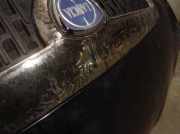 Motorhaube 51701685 Lancia Ypsilon (843) Schrägheck 1.3 JTD 16V Multijet (199.A.3000)